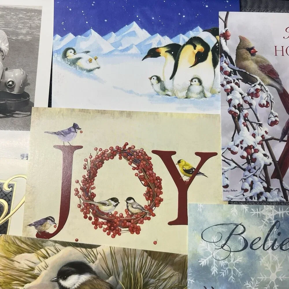 Lot 12 Assorted Greeting Cards with Envelopes Christmas Sympathy Floral NEW
